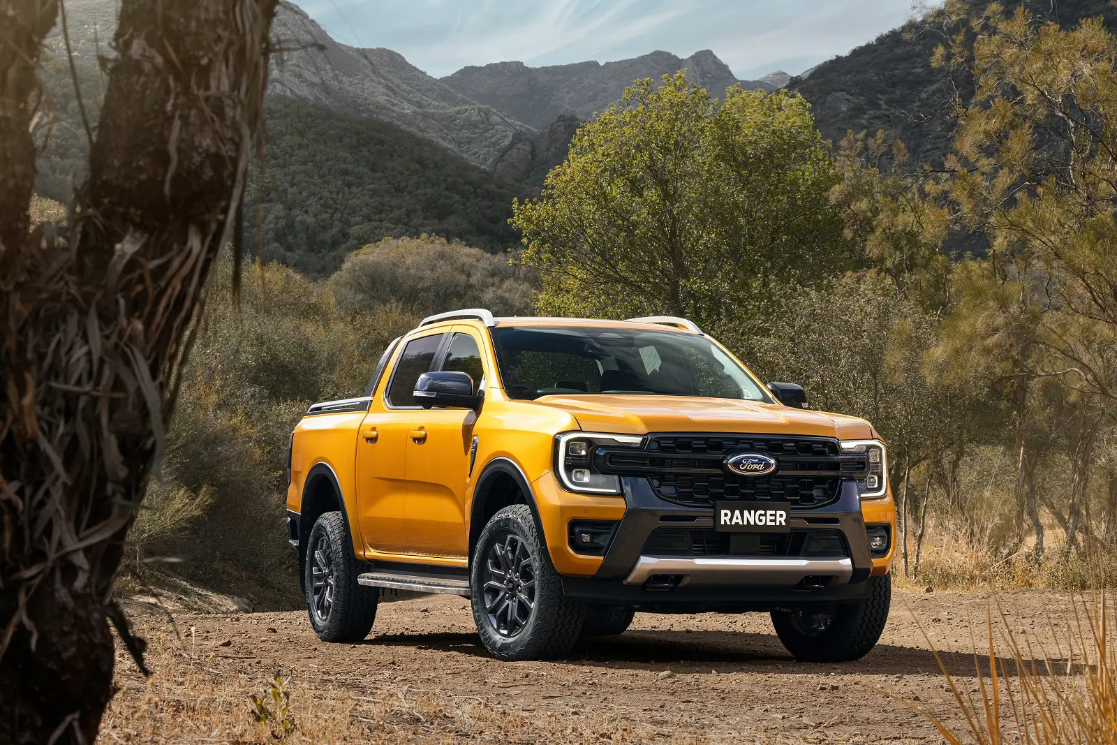 Ford Ranger Ranger 2.0 EcoBlue 4x4 XLT 5