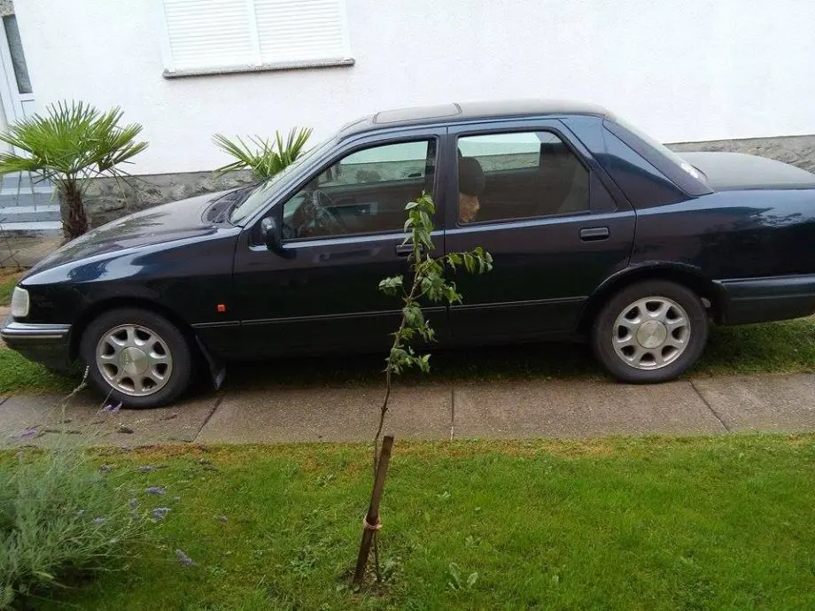 Ford Sierra Sierra 1.8 TD C 4