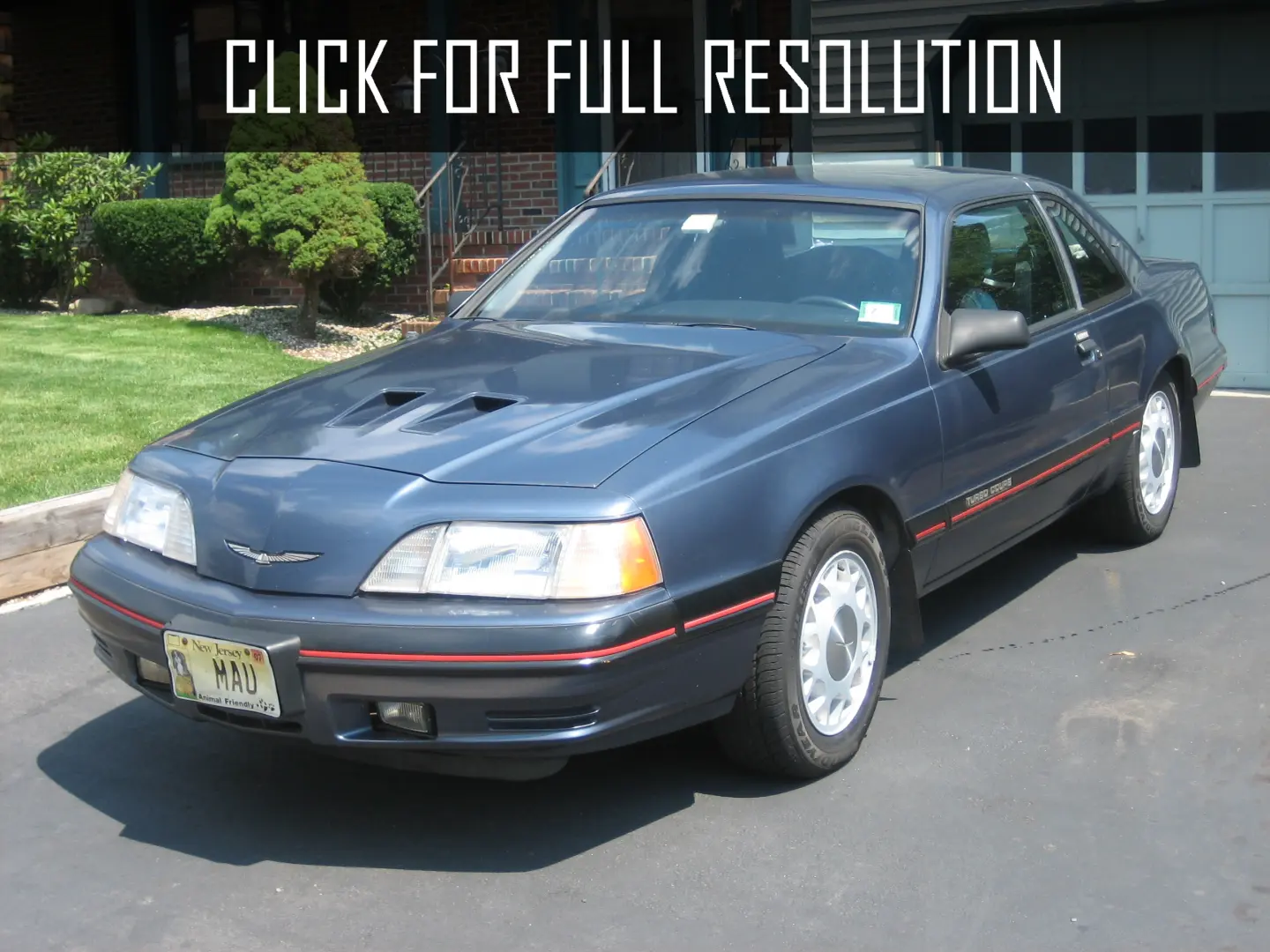 Ford Thunderbird Thunderbird 3.8 3