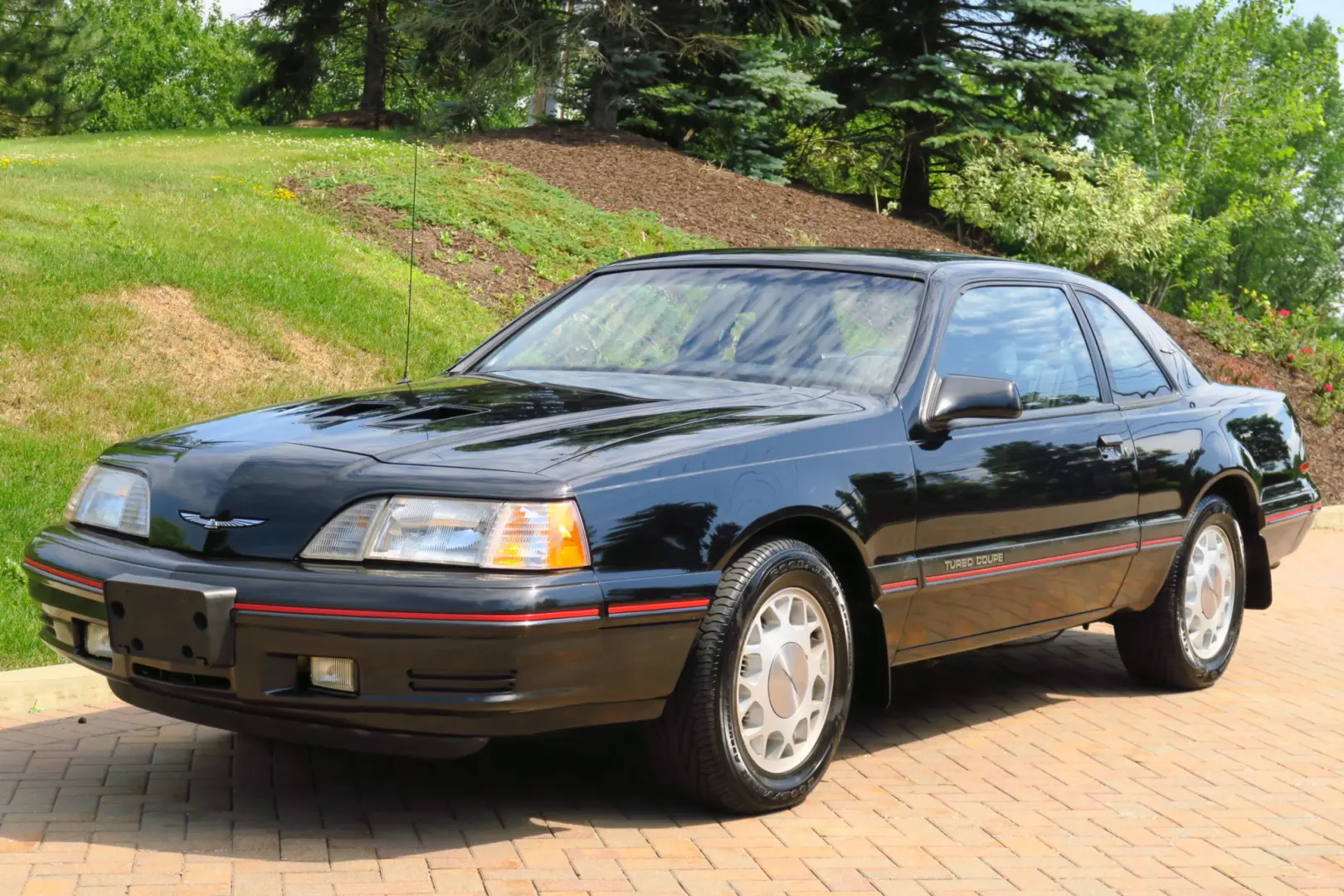 Ford Thunderbird Thunderbird 3.8 1