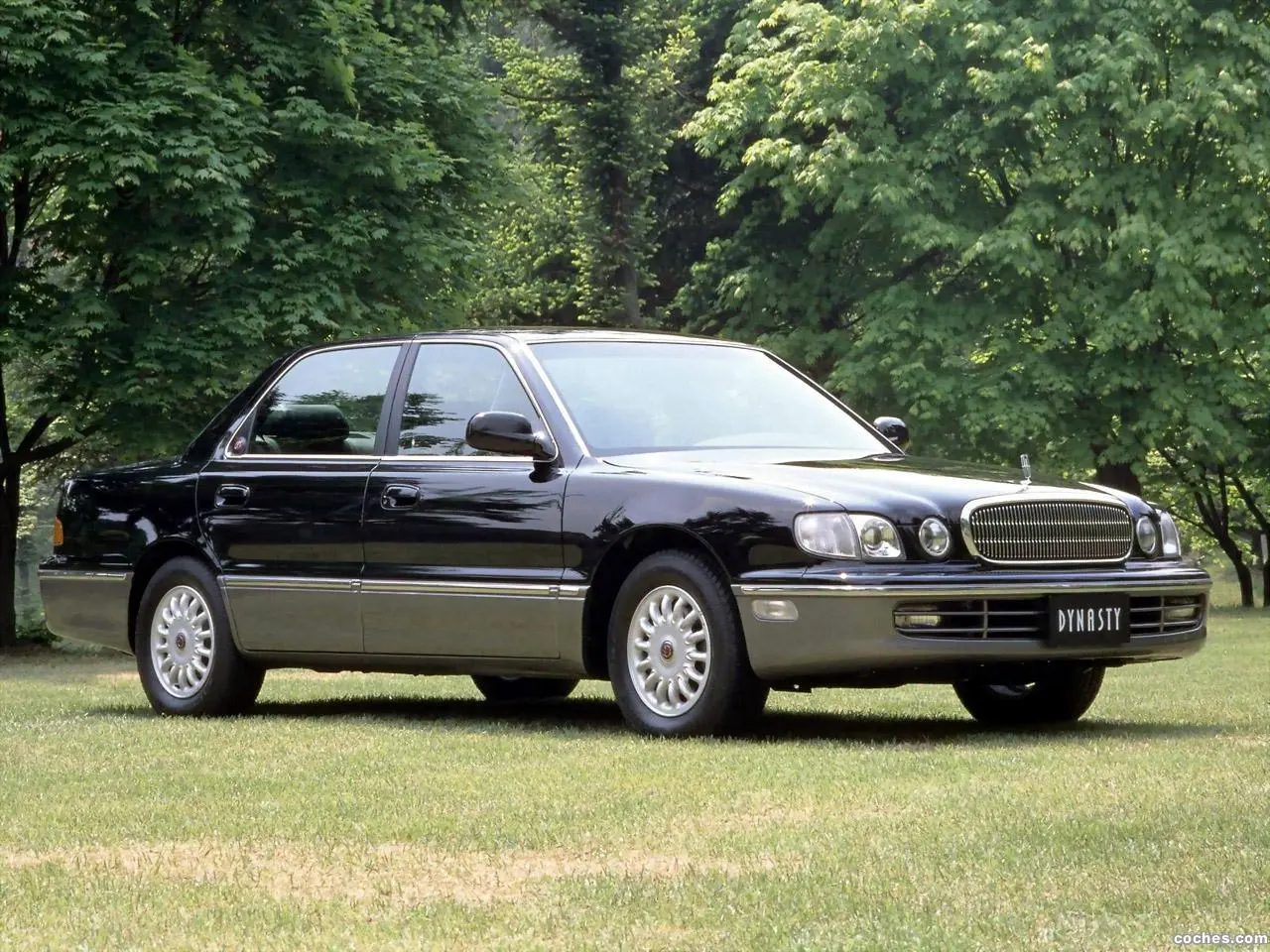 Hyundai Dynasty Dynasty 3.5i V6 2