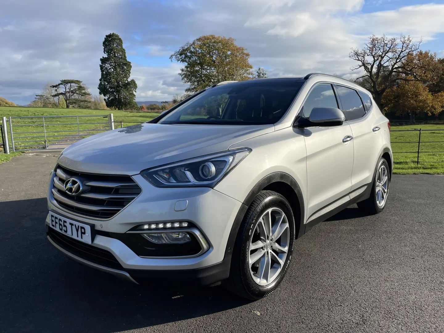 Hyundai Santa Fe Santa Fe 2.2 CRDi Premium 3