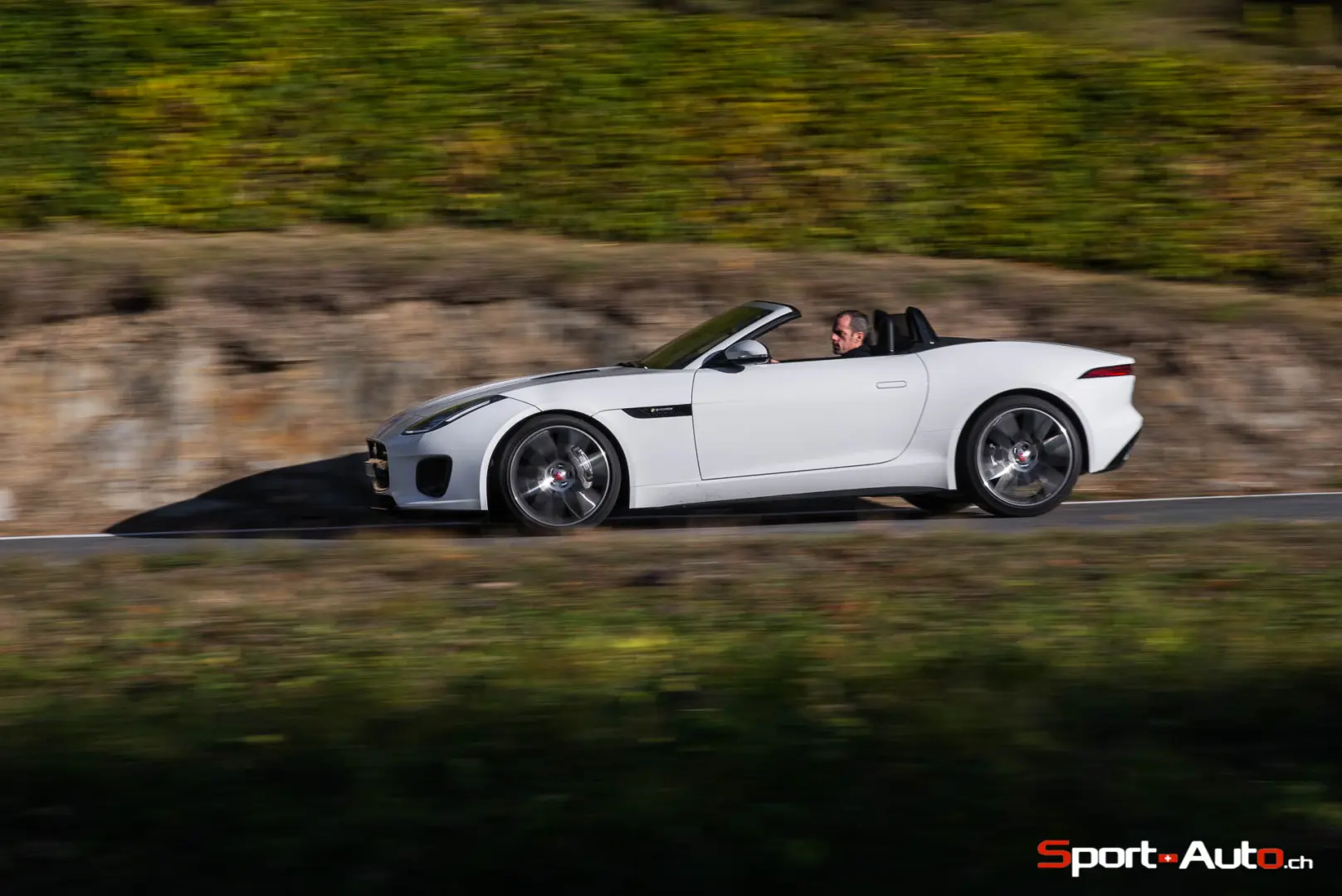 Jaguar F-Type F-Type 2.0 P300 4