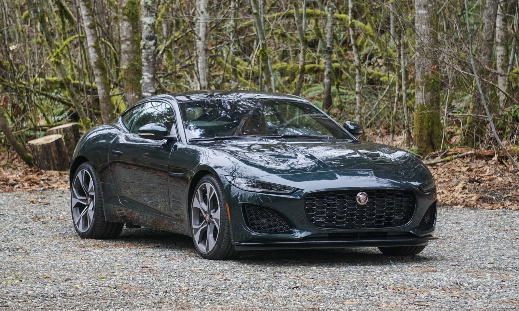 Jaguar F-Type F-Type 5.0 R75 3