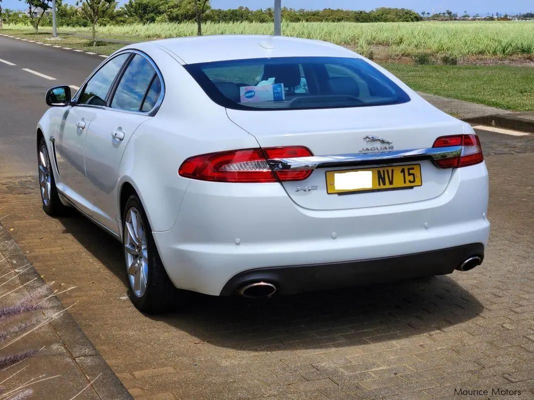 Jaguar XF XF 2.0 D Pure Plus 4