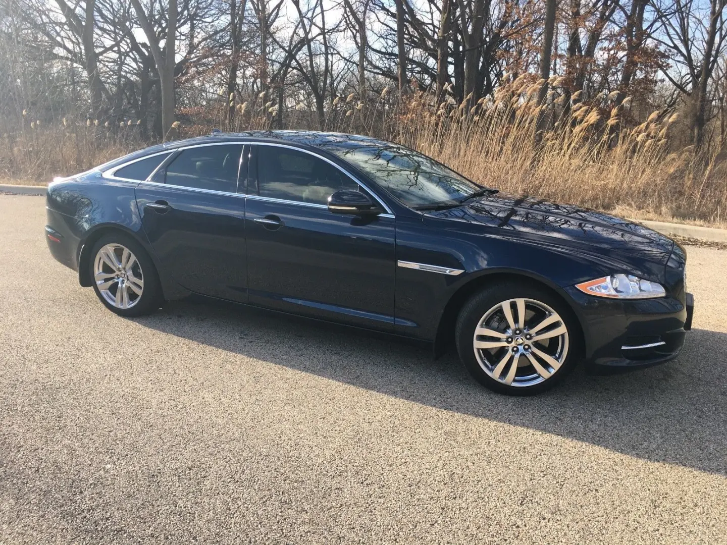 Jaguar XJ XJ 3.0 D LWB Portfolio 5