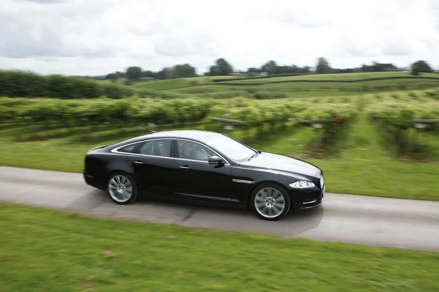 Jaguar XJ XJ 3.0 D V6 Supersport 5