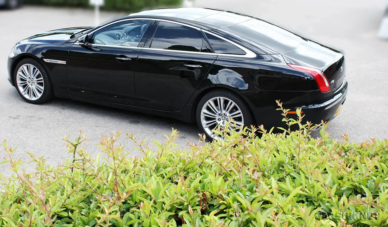 Jaguar XJ XJ 3.0 D V6 SWB Portfolio 5