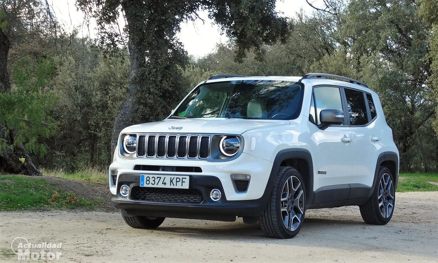 Jeep Renegade Renegade 1.6 L MultiJet 4x2 Limited 2