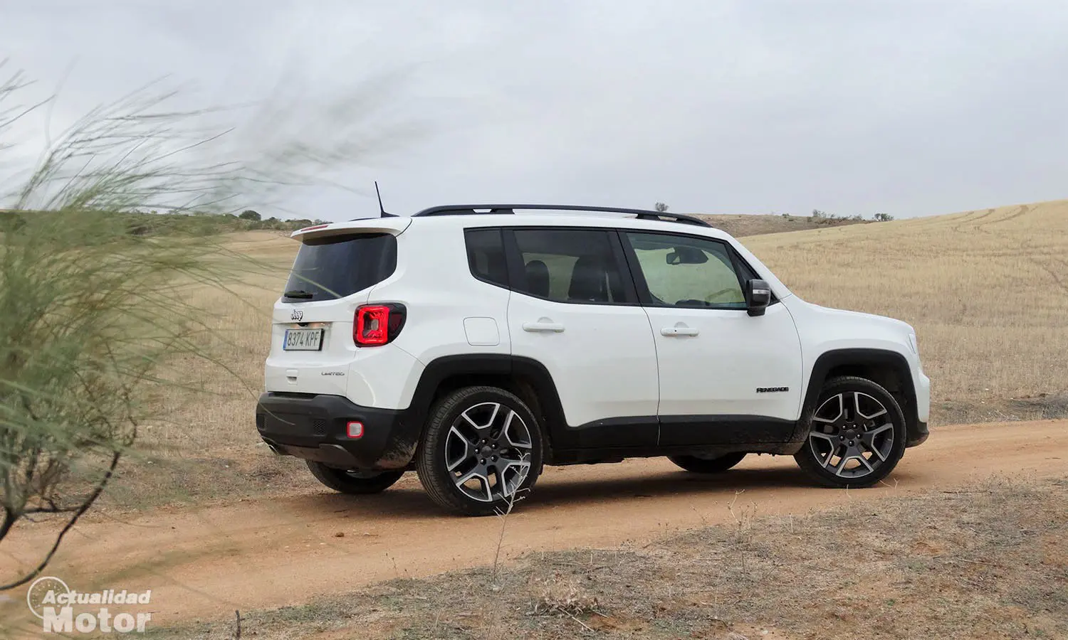 Jeep Renegade Renegade 1.6 L MultiJet 4x2 Limited 3