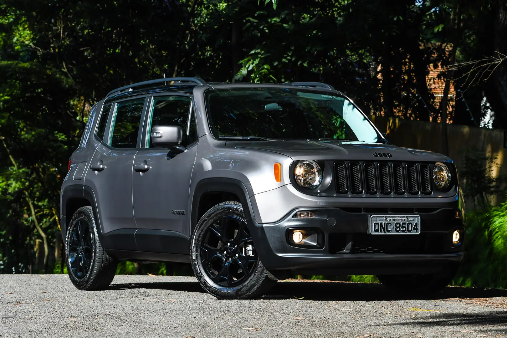 Jeep Renegade Renegade 1.6 L MultiJet II 4x2 Night Eagle DDCT 0