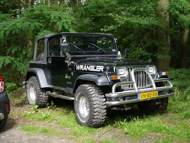 Jeep Wrangler Wrangler 4.0 Hard Top 6
