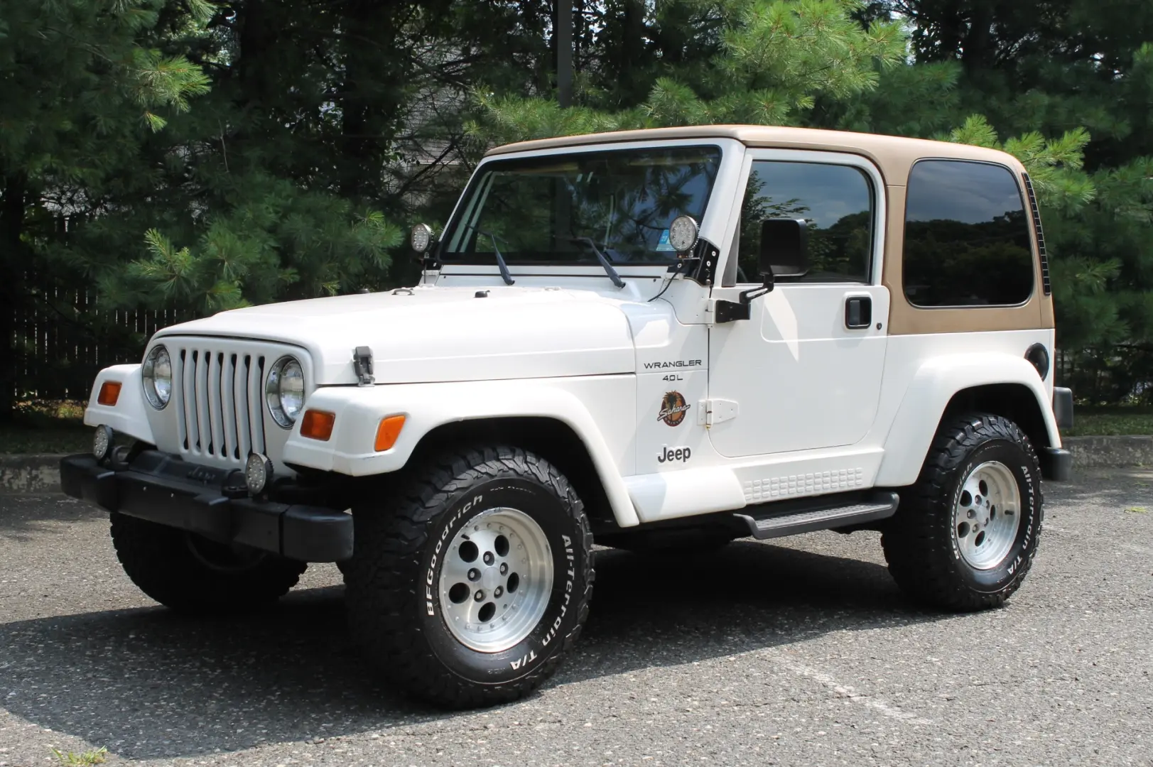 Jeep Wrangler Wrangler Sahara 4.0 Hard Top 2
