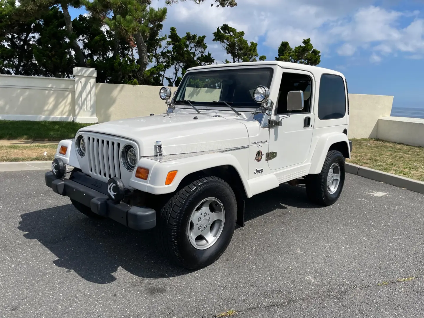 Jeep Wrangler Wrangler Sahara 4.0 Hard Top 5
