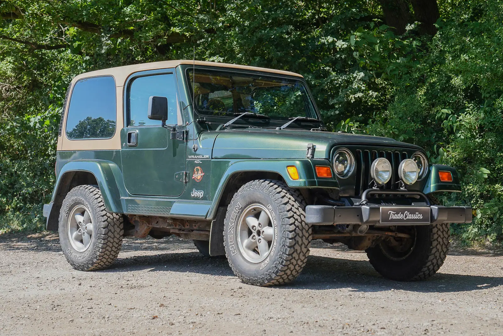 Jeep Wrangler Wrangler Sahara 4.0 Hard Top 5