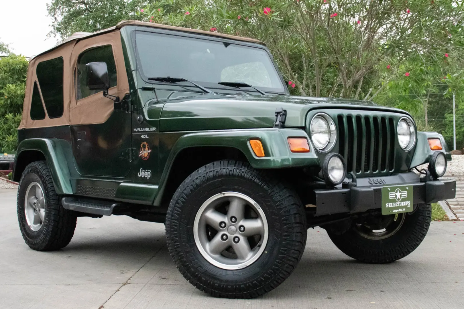 Jeep Wrangler Wrangler Sahara 4.0 Hard Top 5