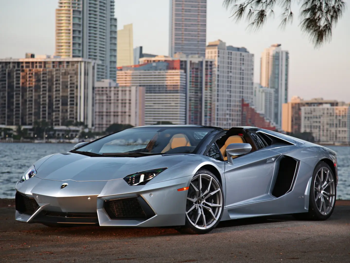 Lamborghini Aventador Aventador LP 700- 4 6