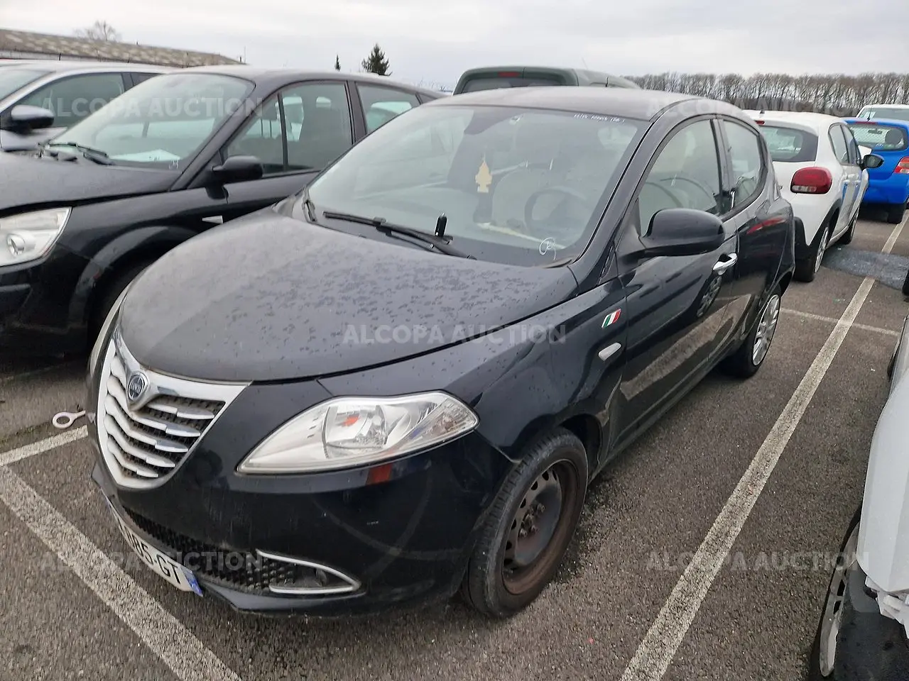Lancia  Ypsilon 1.2 8V Fire Evo Gold 5