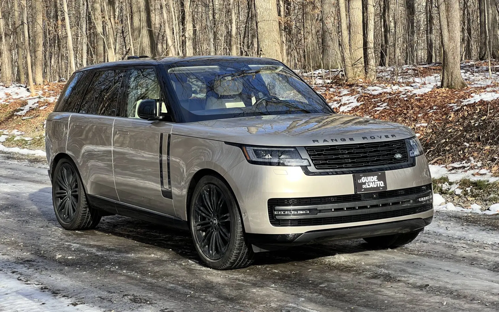Land Rover Range Rover Range Rover 2.5 TDI 1