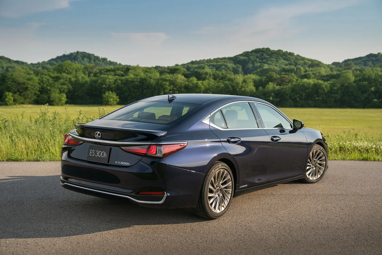 Lexus ES ES 300h Business e-CVT 5