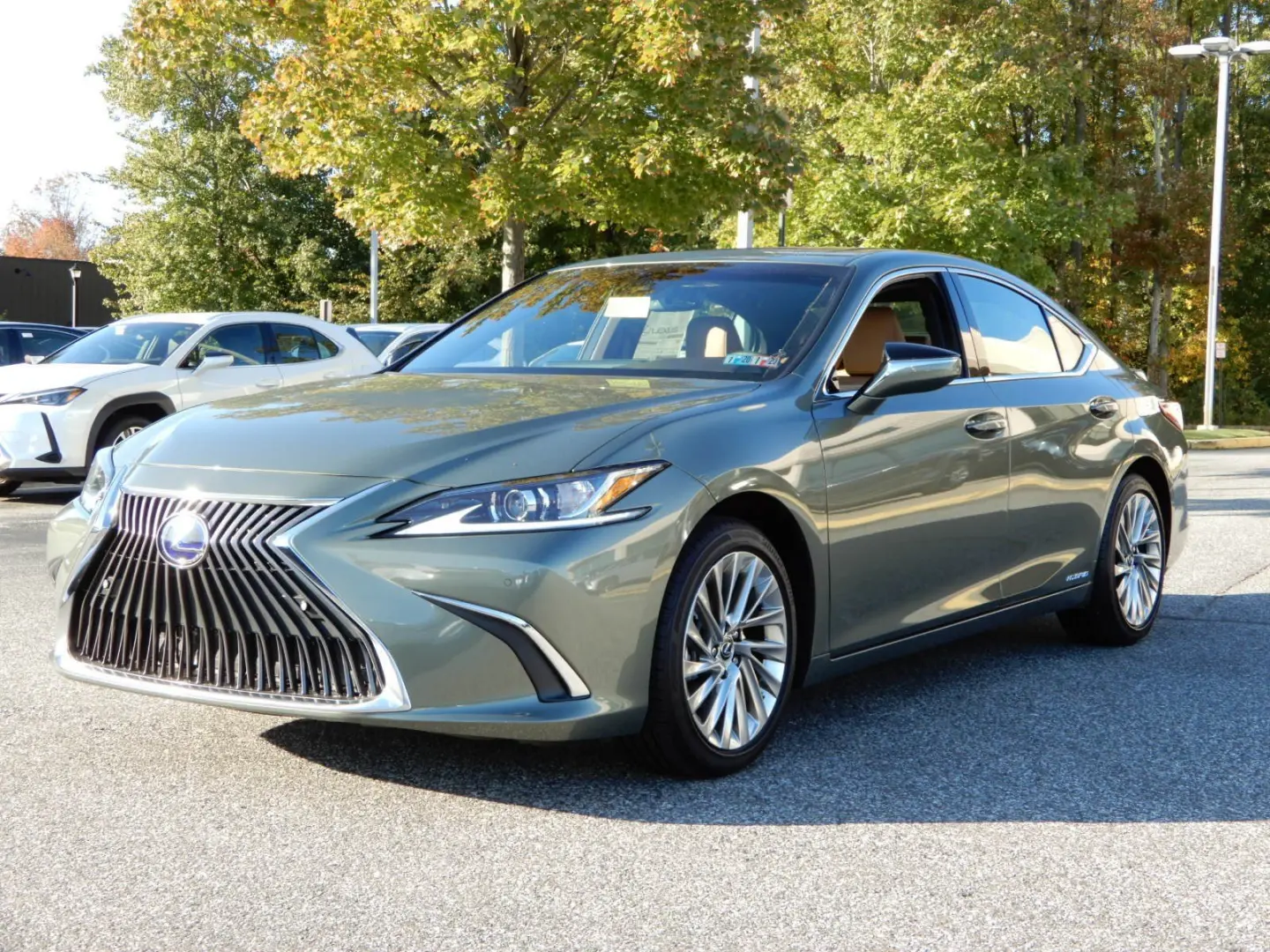 Lexus IS IS 300h Business e-CVT 6