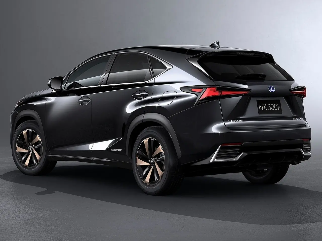 Lexus NX NX 300 AWD Business 0