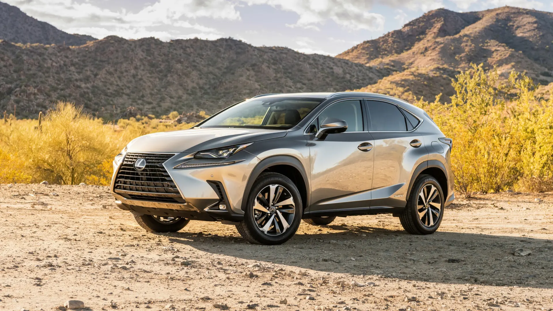 Lexus NX NX 300 AWD Comfort 0