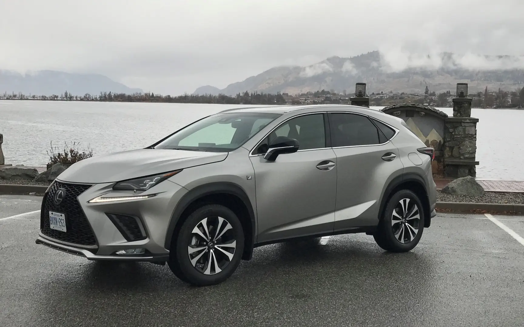 Lexus NX NX 300 AWD Comfort 1