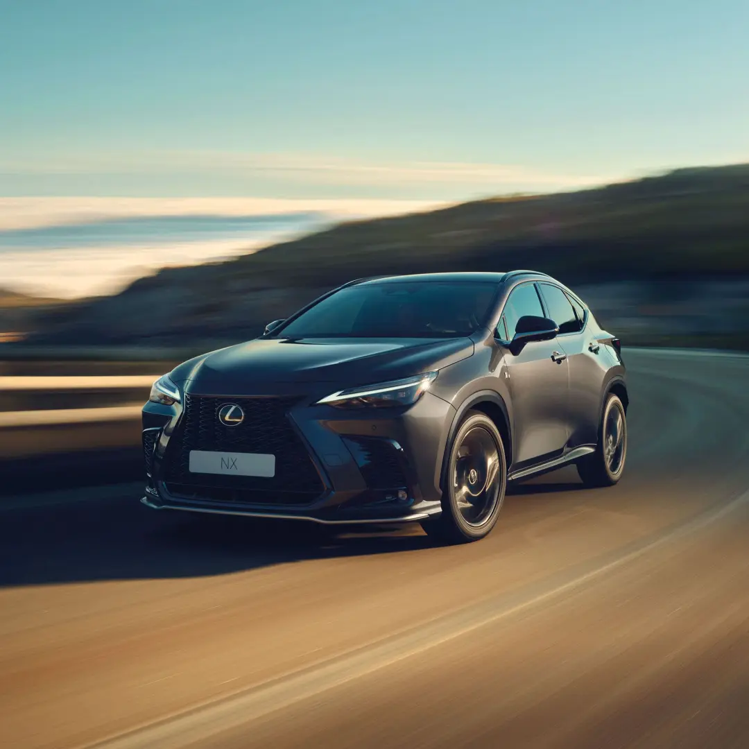 Lexus NX NX 300h 4x4 Business Plus e-CVT 4