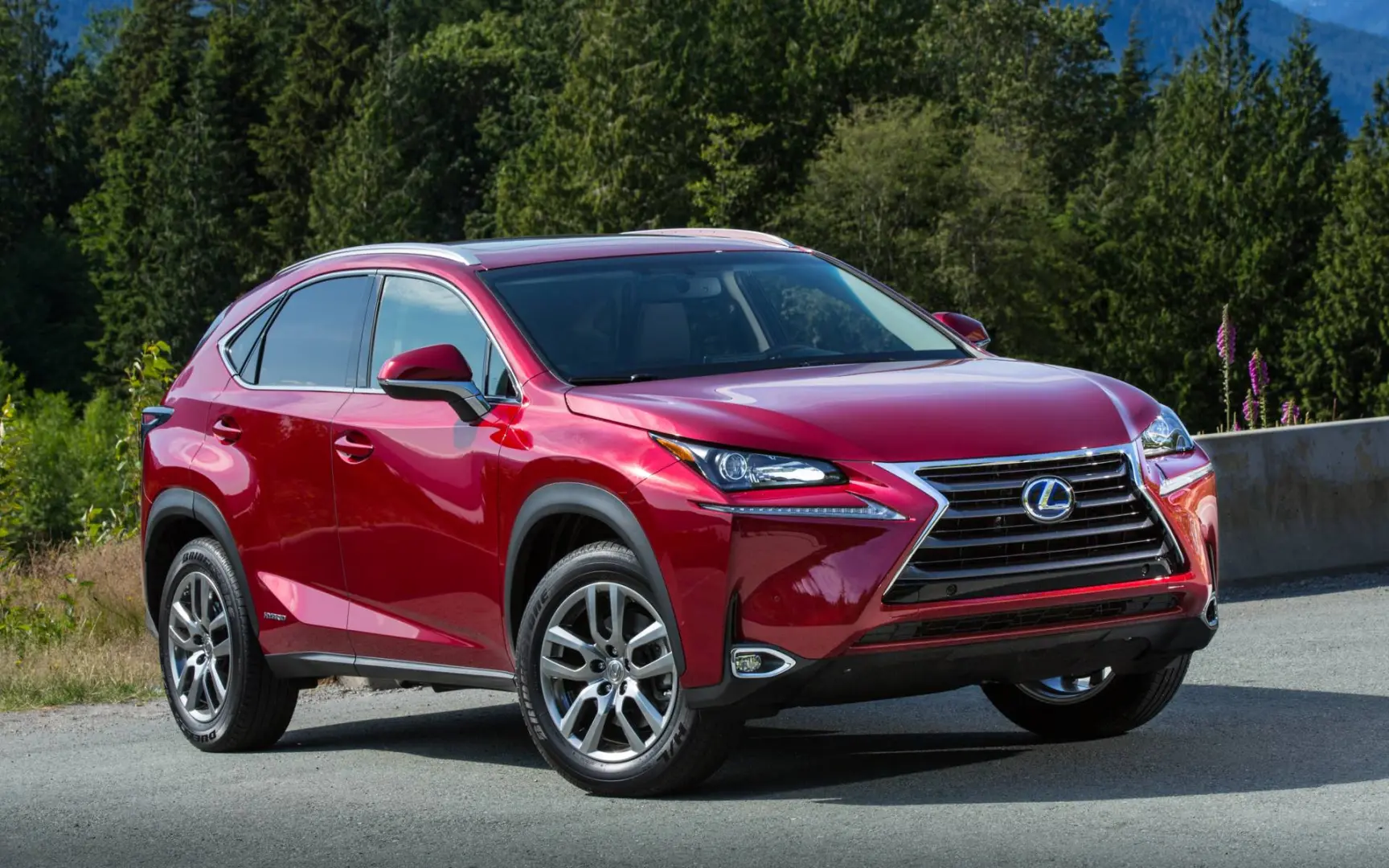 Lexus NX NX 300h 4x4 Business Plus e-CVT 3