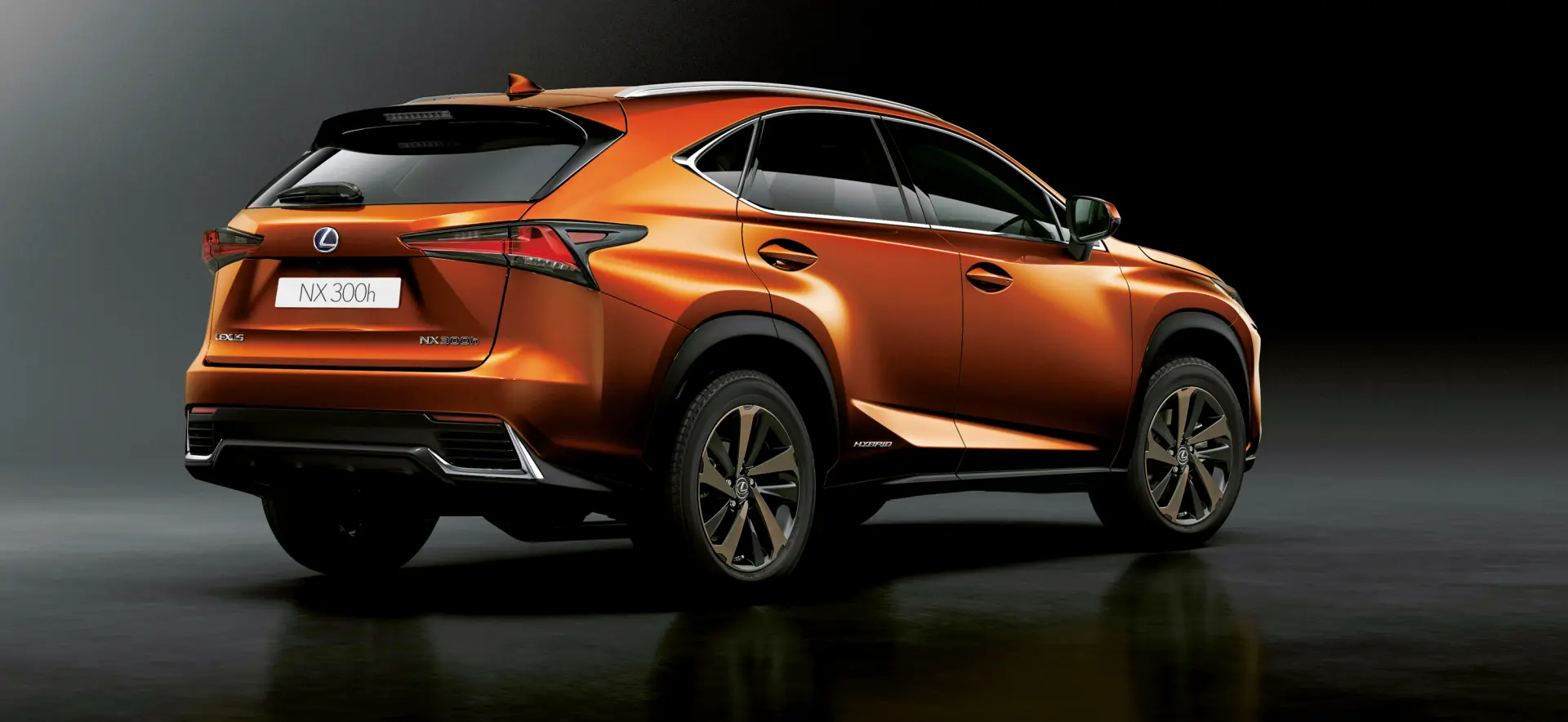 Lexus NX NX 300h 4x4 Business Plus e-CVT 5