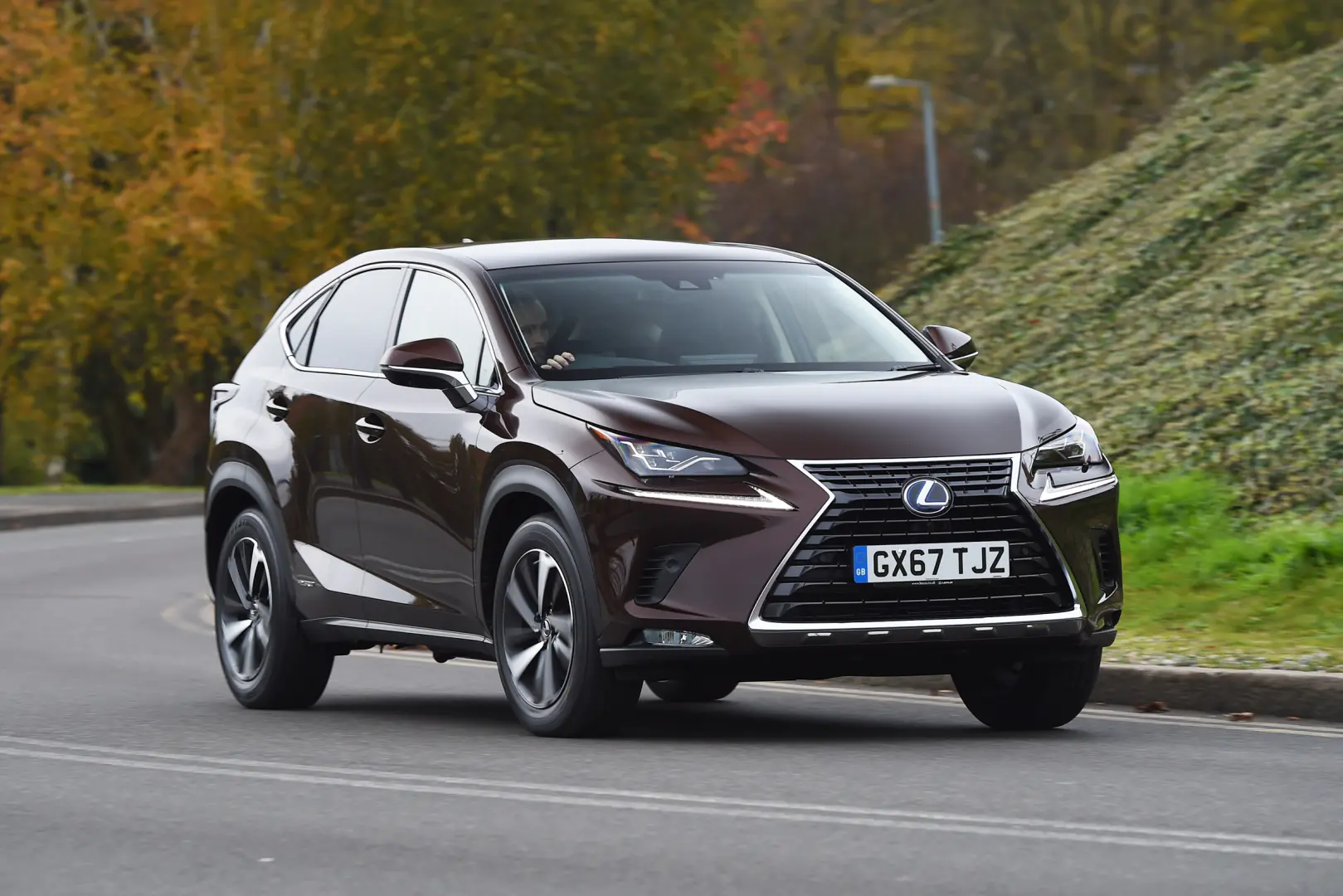 Lexus NX NX 300h 4x4 Comfort e-CVT 0