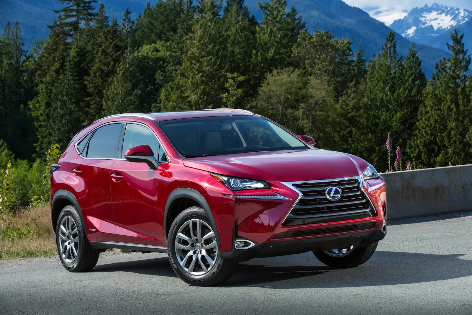 Lexus NX NX 300h 4x4 Executive e-CVT 3