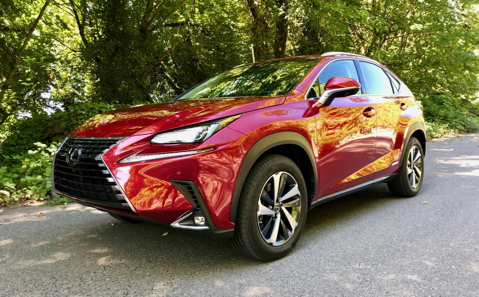 Lexus NX NX 300h 4x4 Executive e-CVT 7