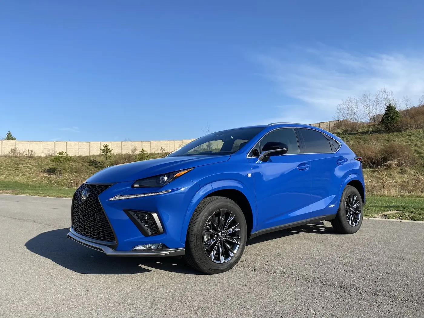 Lexus NX NX 300h 4x4 Business e-CVT 1