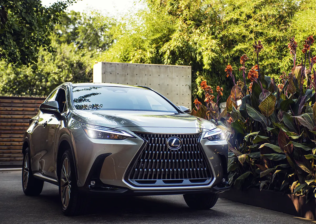 Lexus NX NX 350h Business Plus 4x4 e-CVT 4