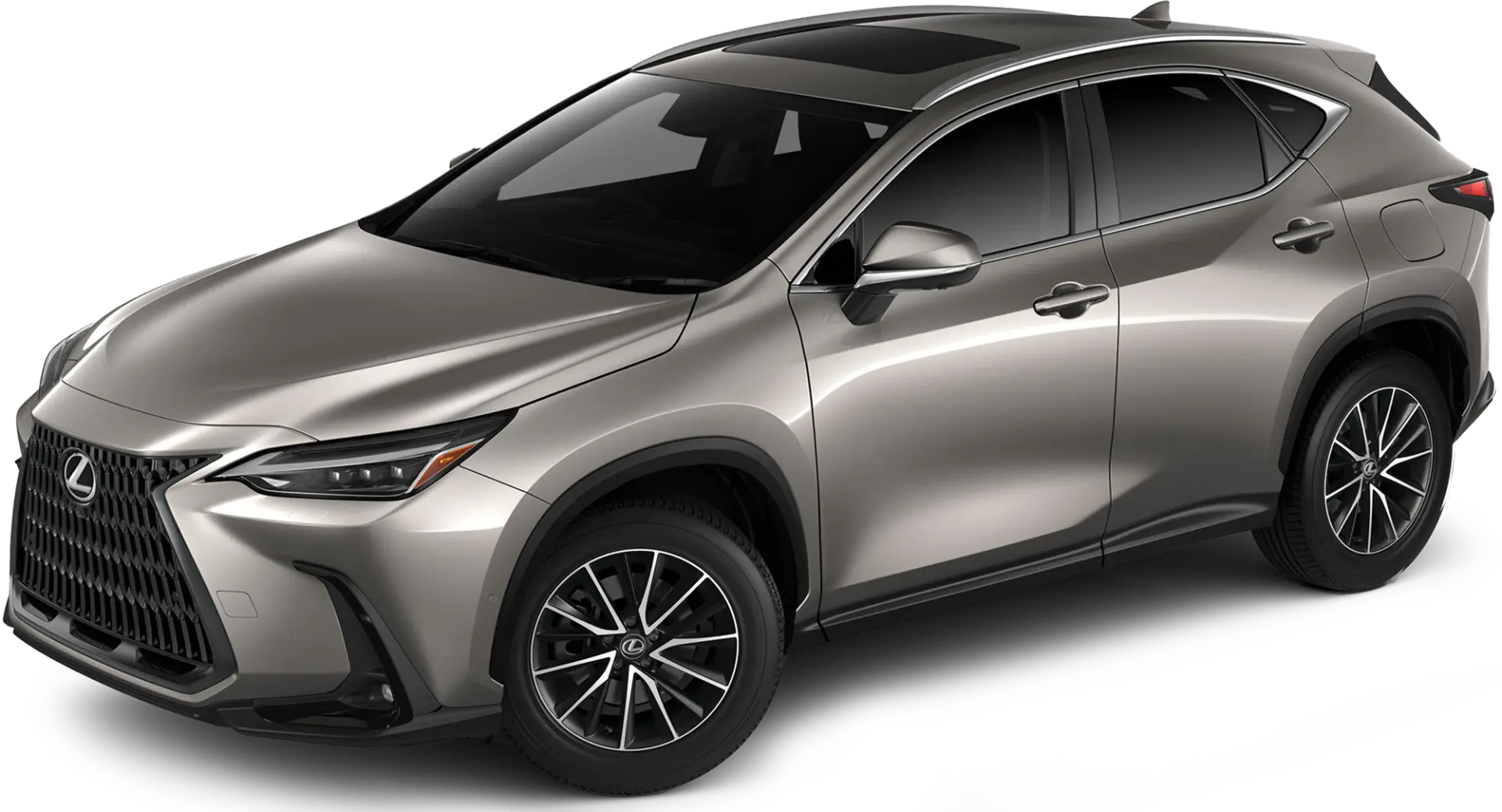 Lexus NX NX 350h Business 4x4 e-CVT 1