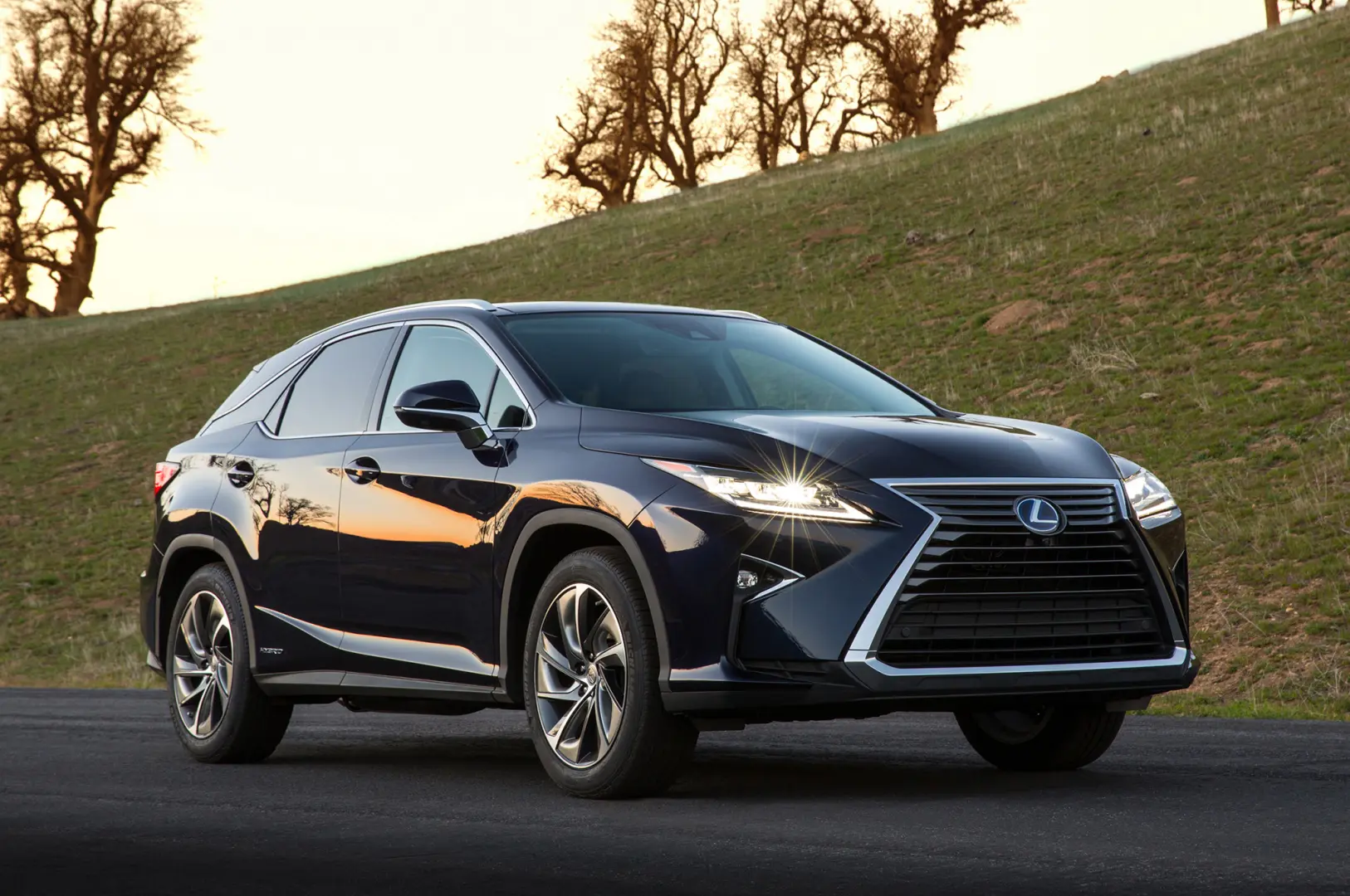 Lexus RX RX 200t 4x4 Exclusive 6