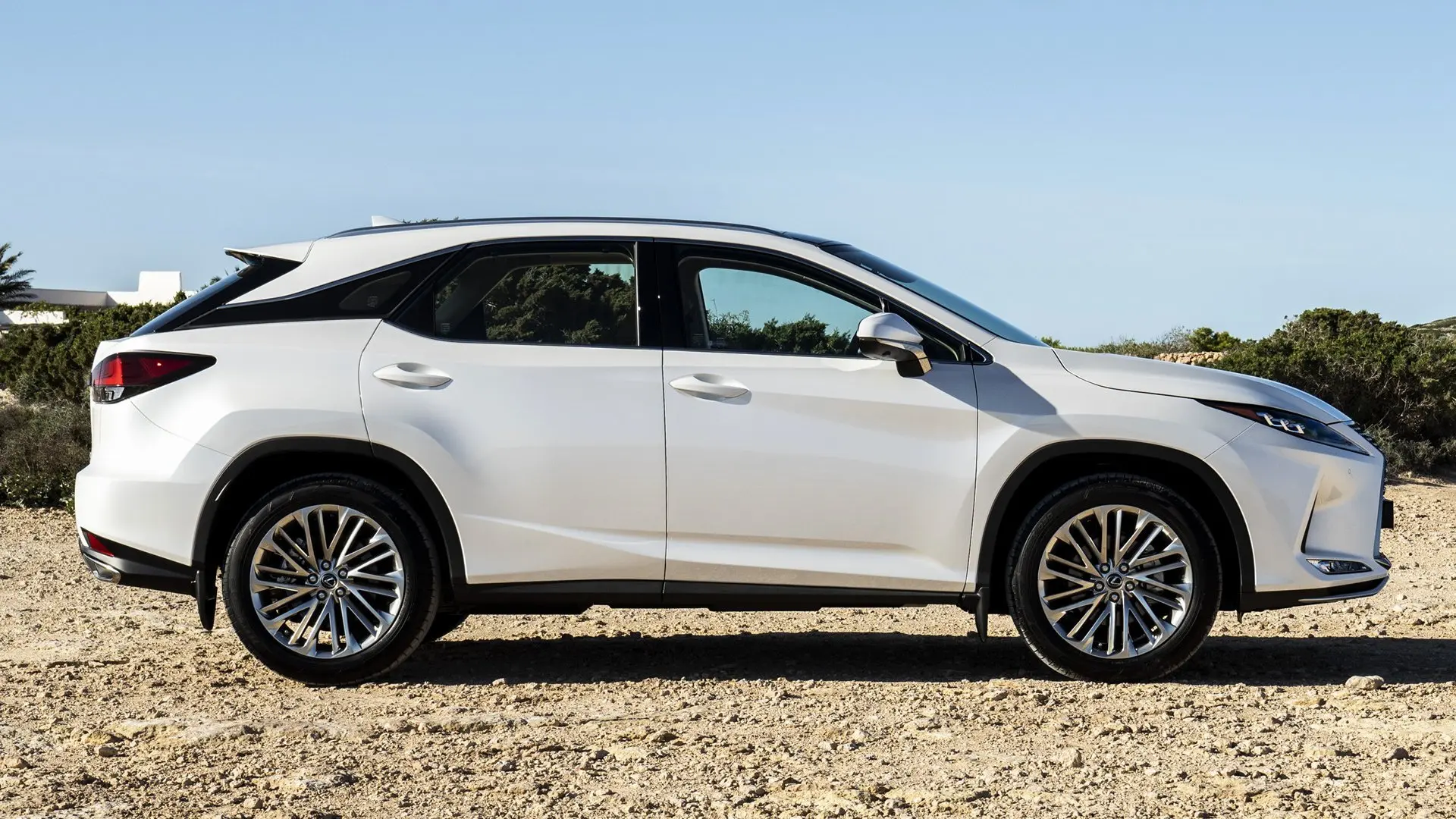 Lexus RX RX 300 4x4 Business 4