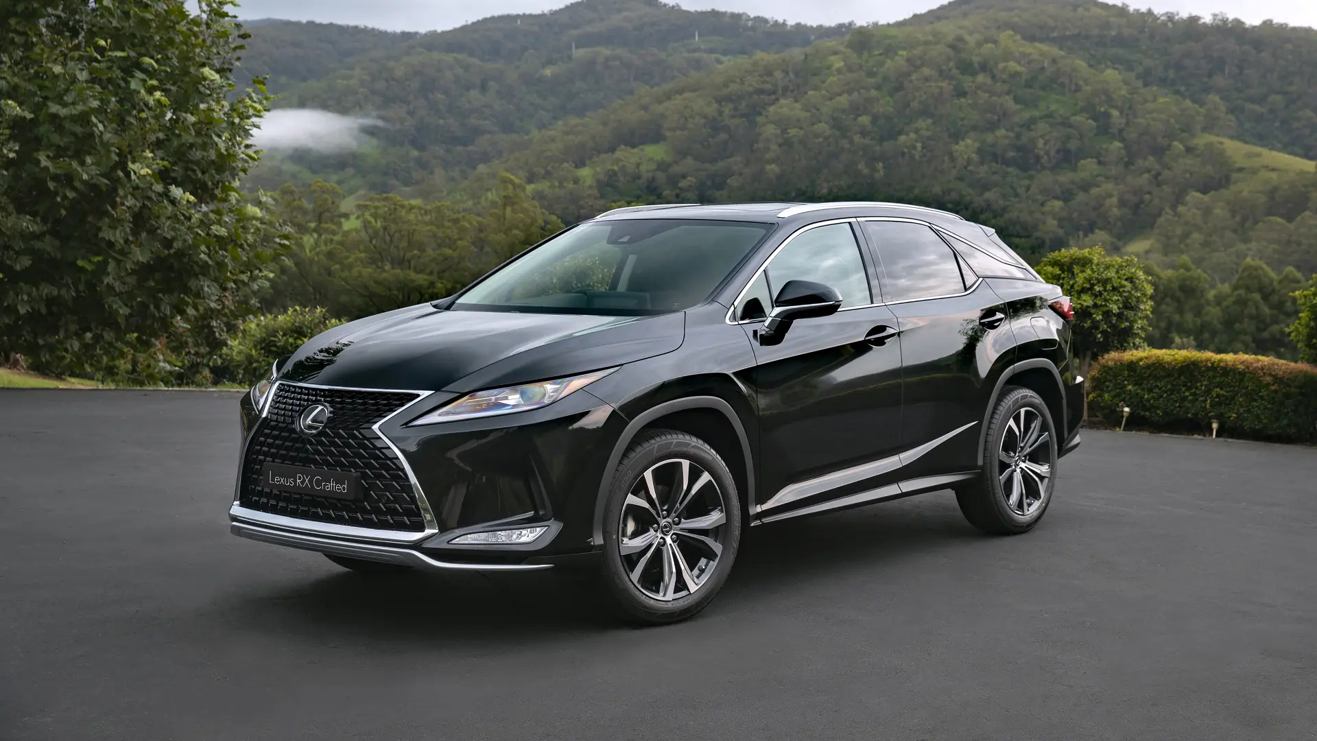 Lexus RX RX 300 4x4 Business 2