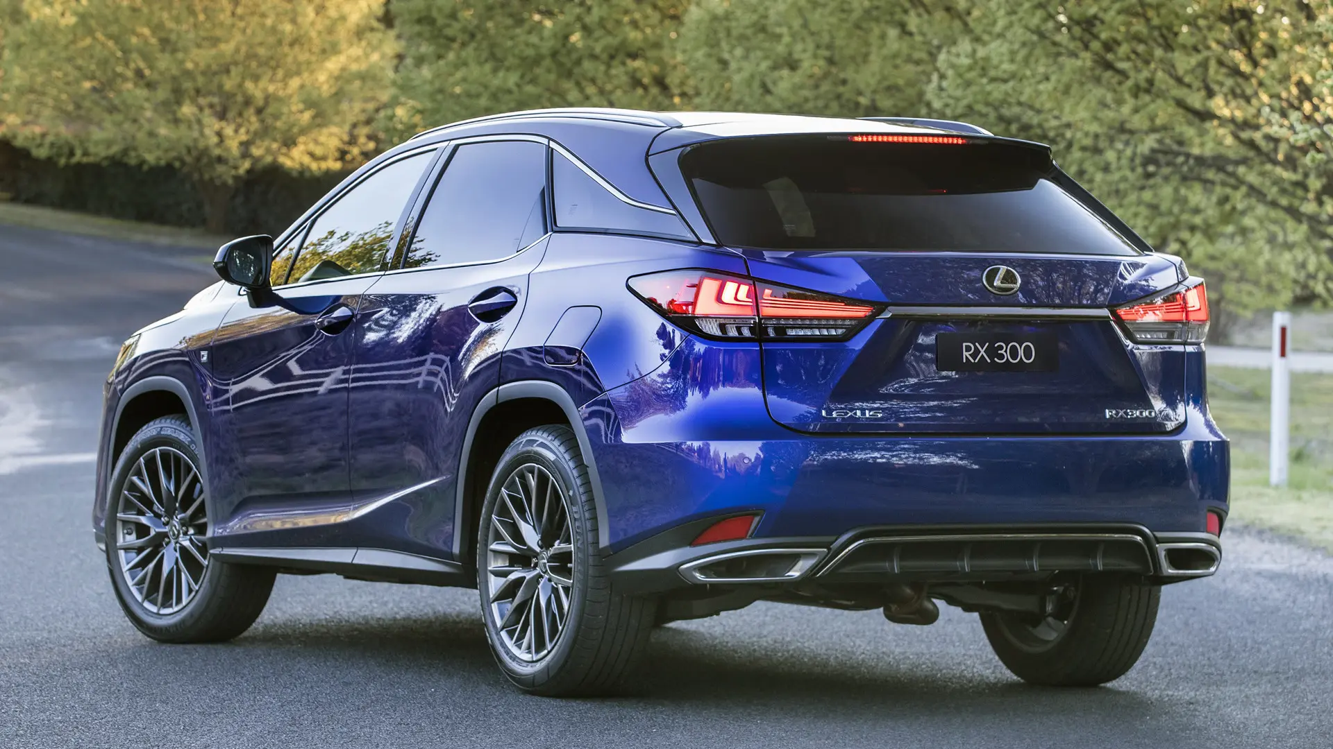 Lexus RX RX 300 4x4 Exclusive 1