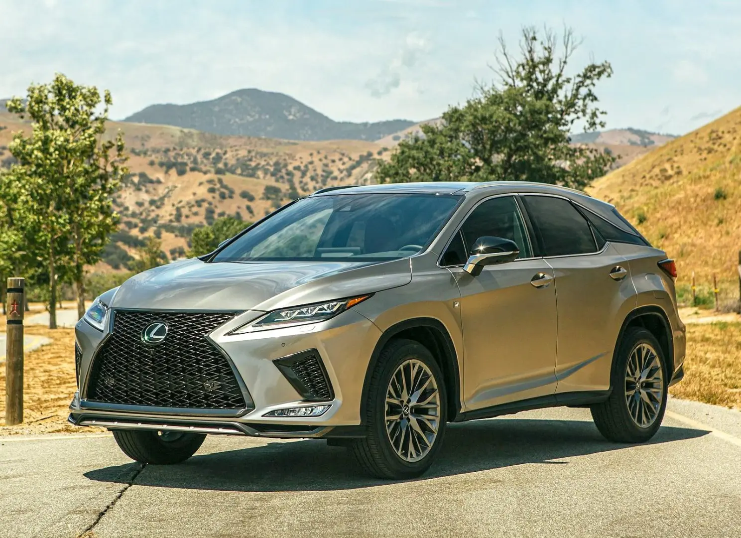 Lexus RX RX 300 4x4 Executive 1
