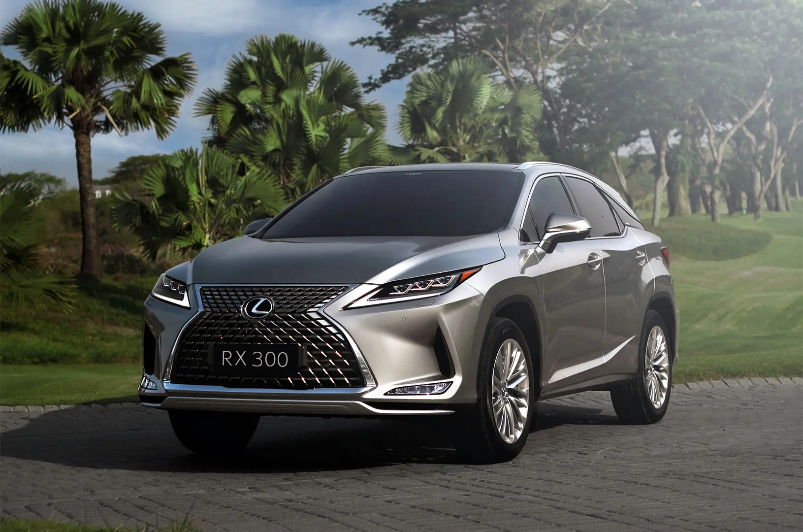 Lexus RX RX 300 4x4 Executive 3