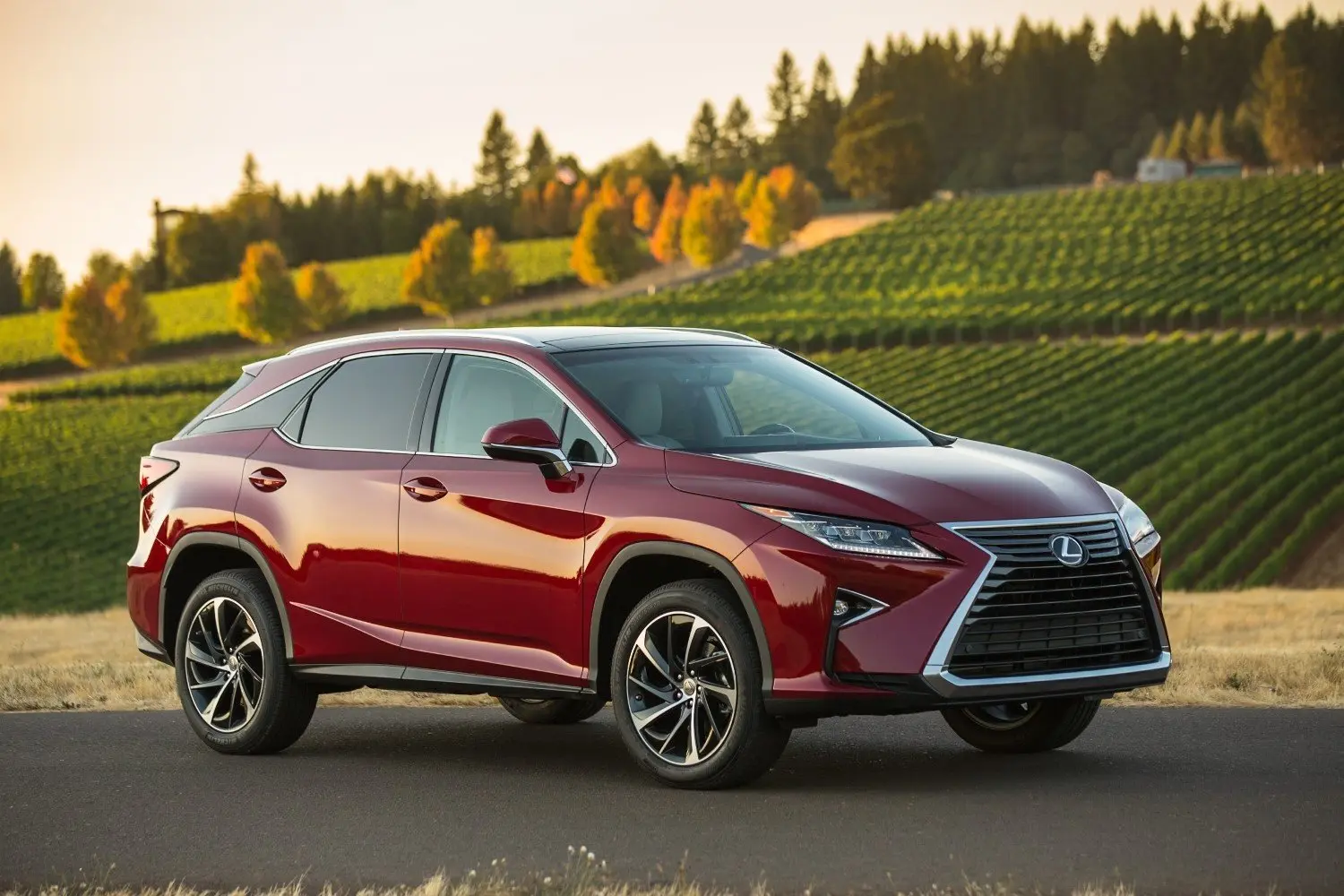 Lexus RX RX 300 4x4 Exclusive 2