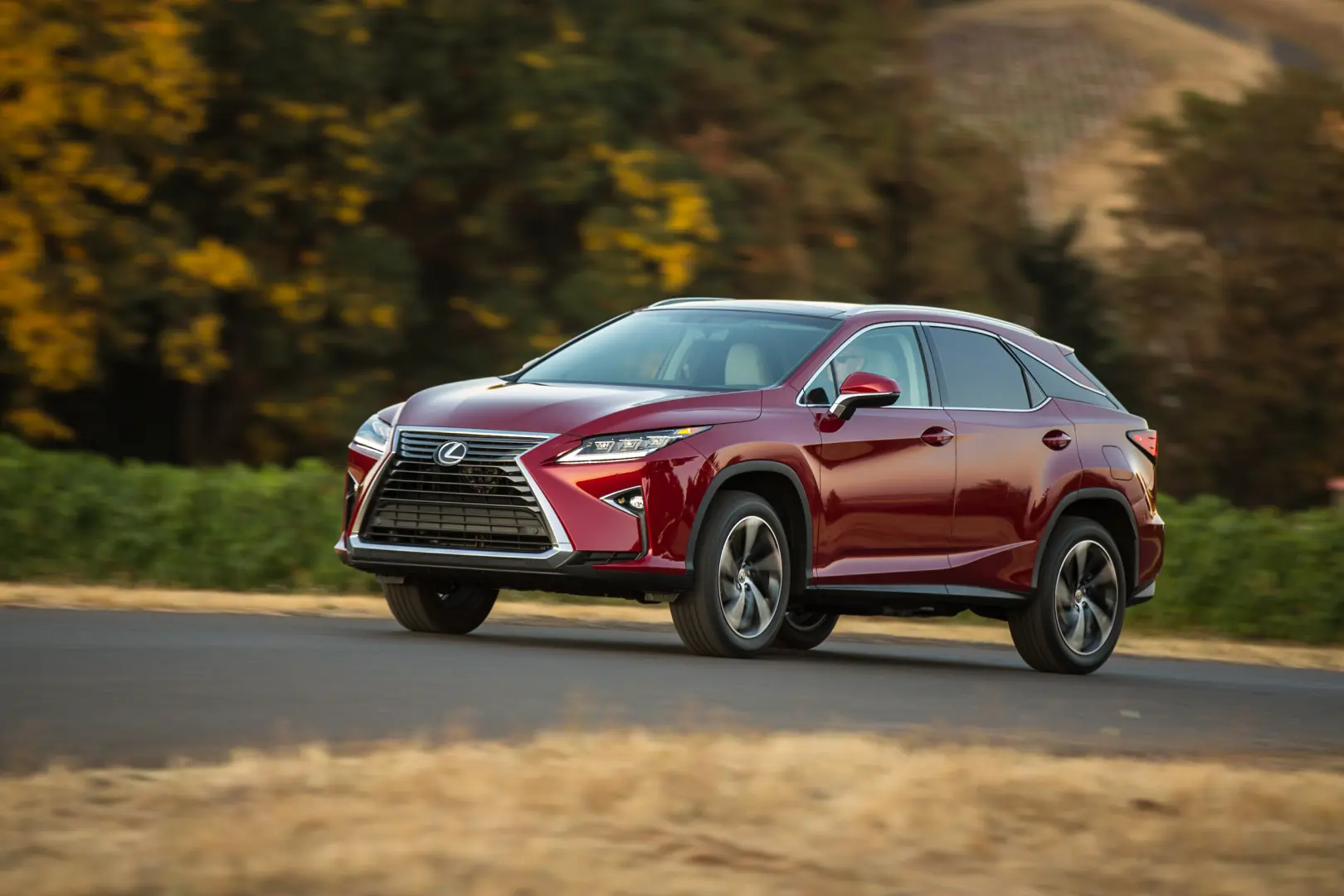 Lexus RX RX 300 4x4 Executive 0