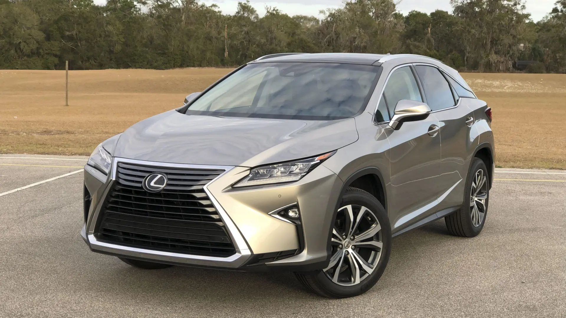 Lexus RX RX 300 Exclusive 4x4 6