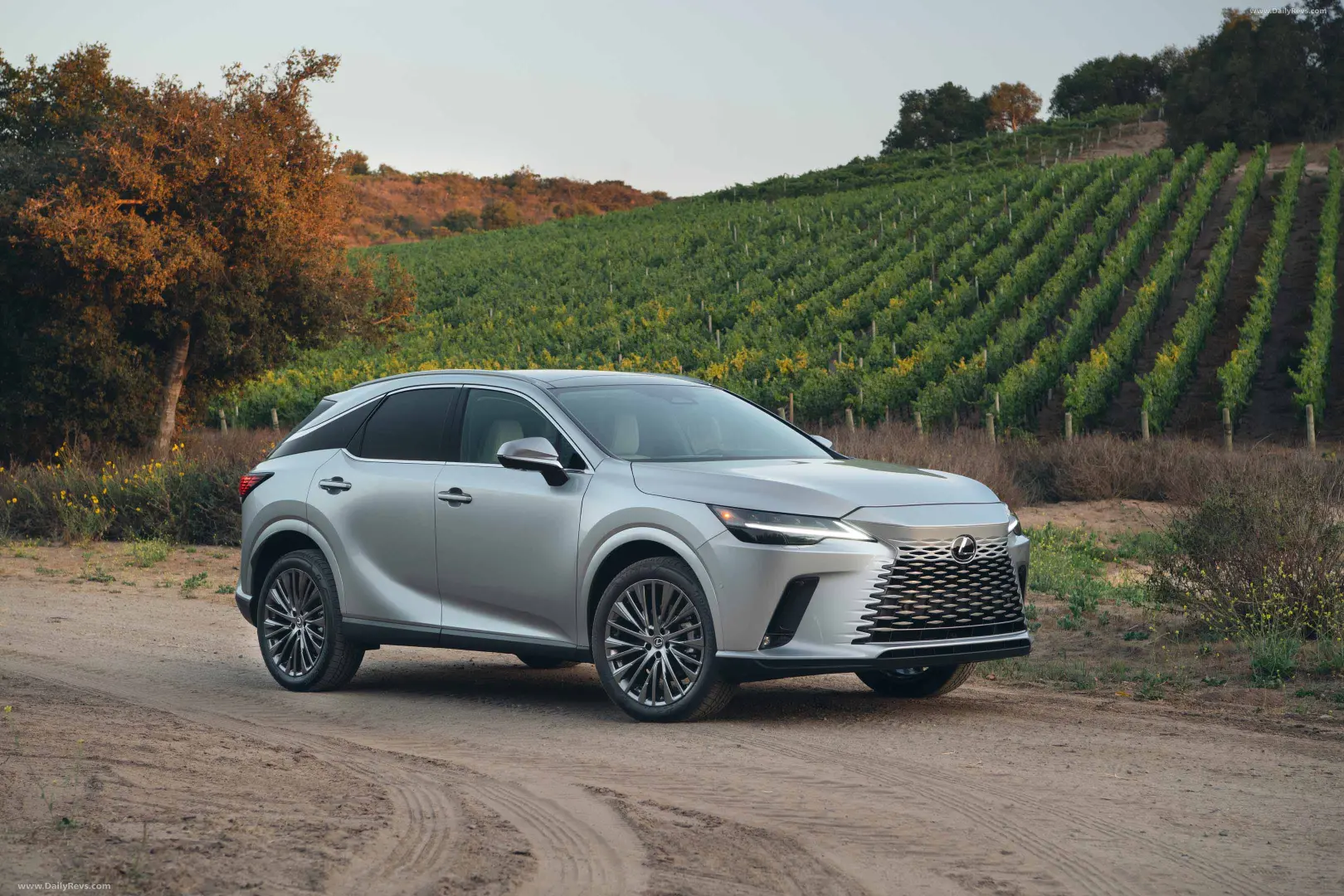 Lexus RX RX 350h Executive AWD 1