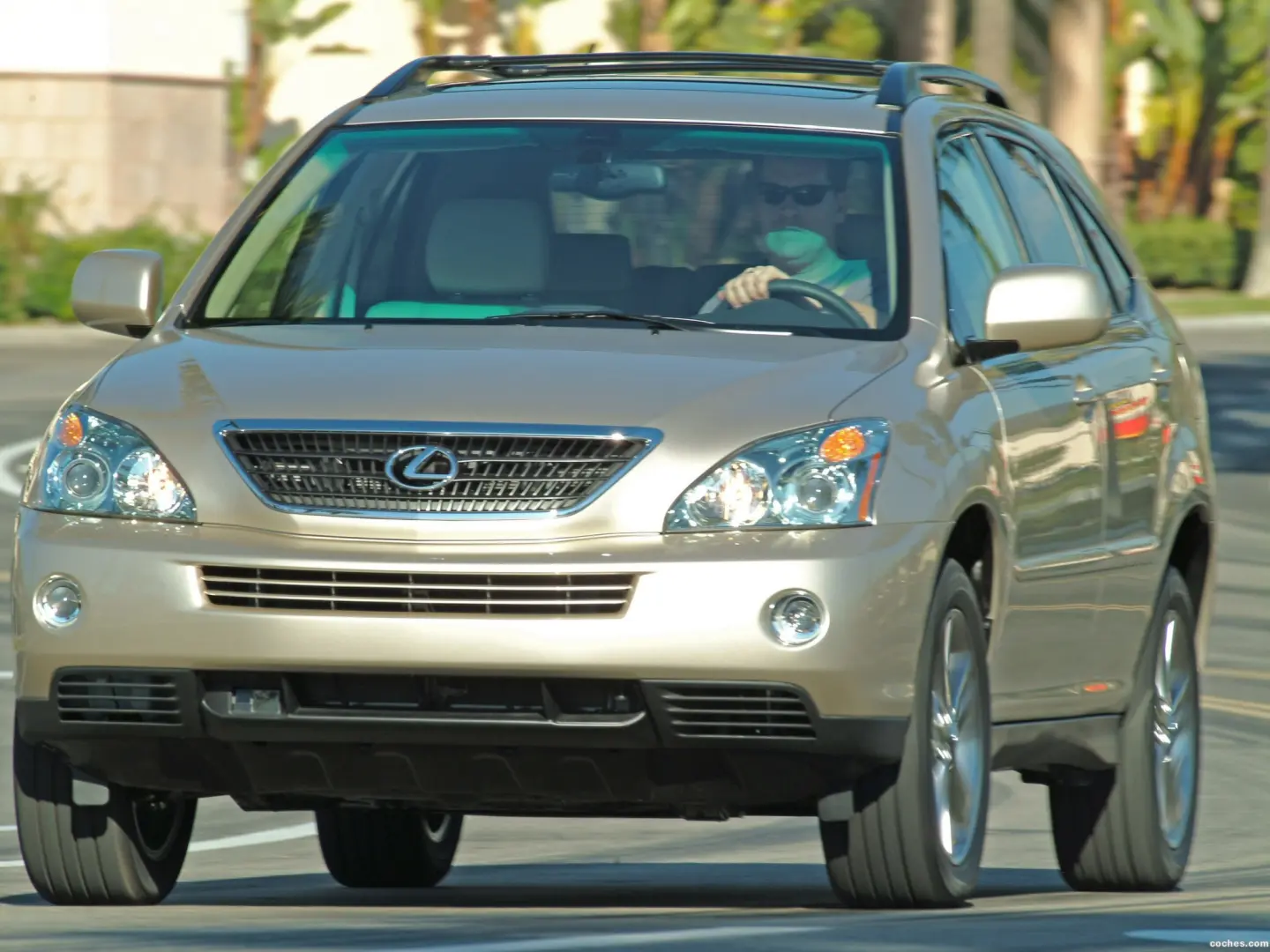 Lexus RX RX 400h Executive 7