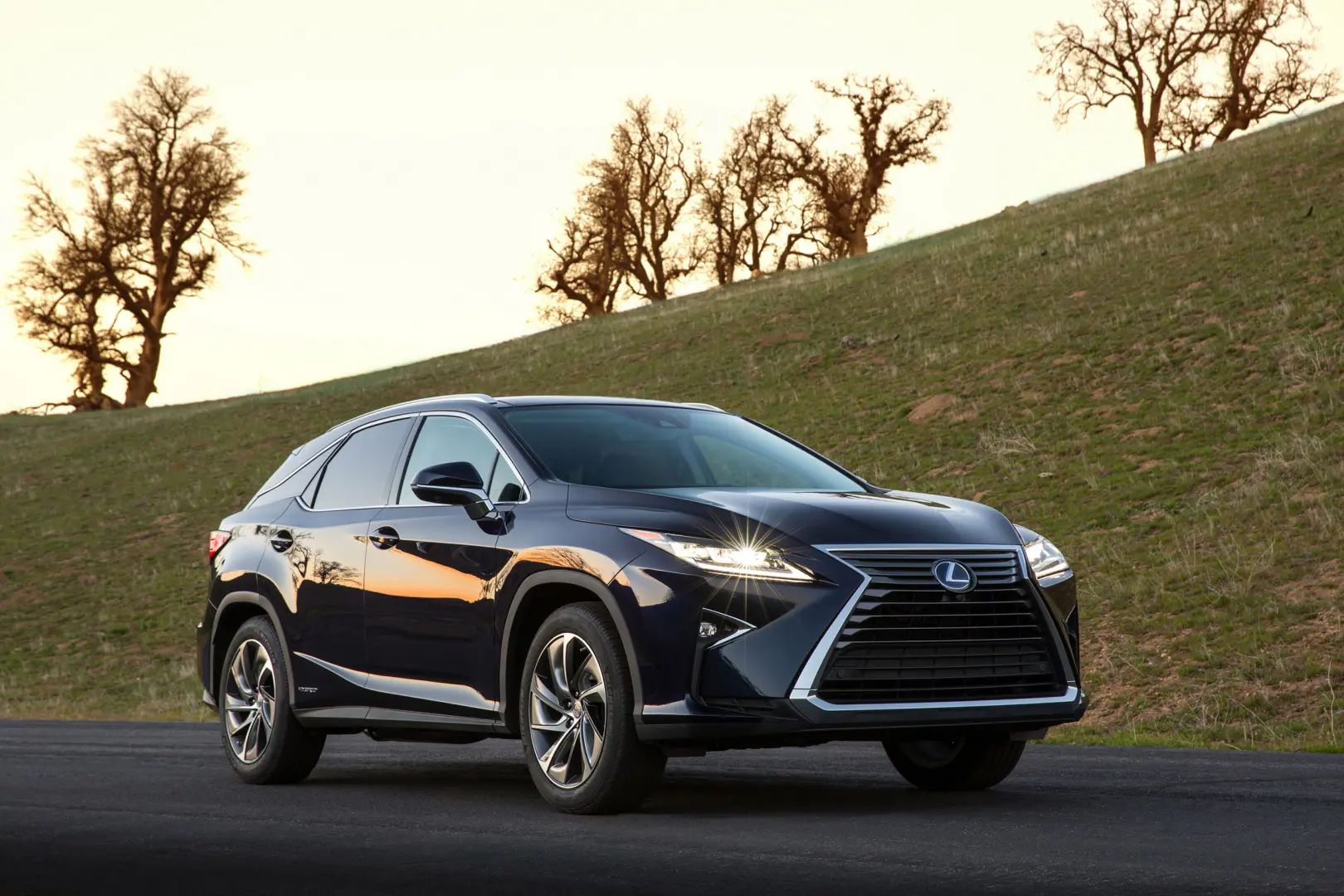 Lexus RX RX 450h 4x4 Executive e-CVT 1