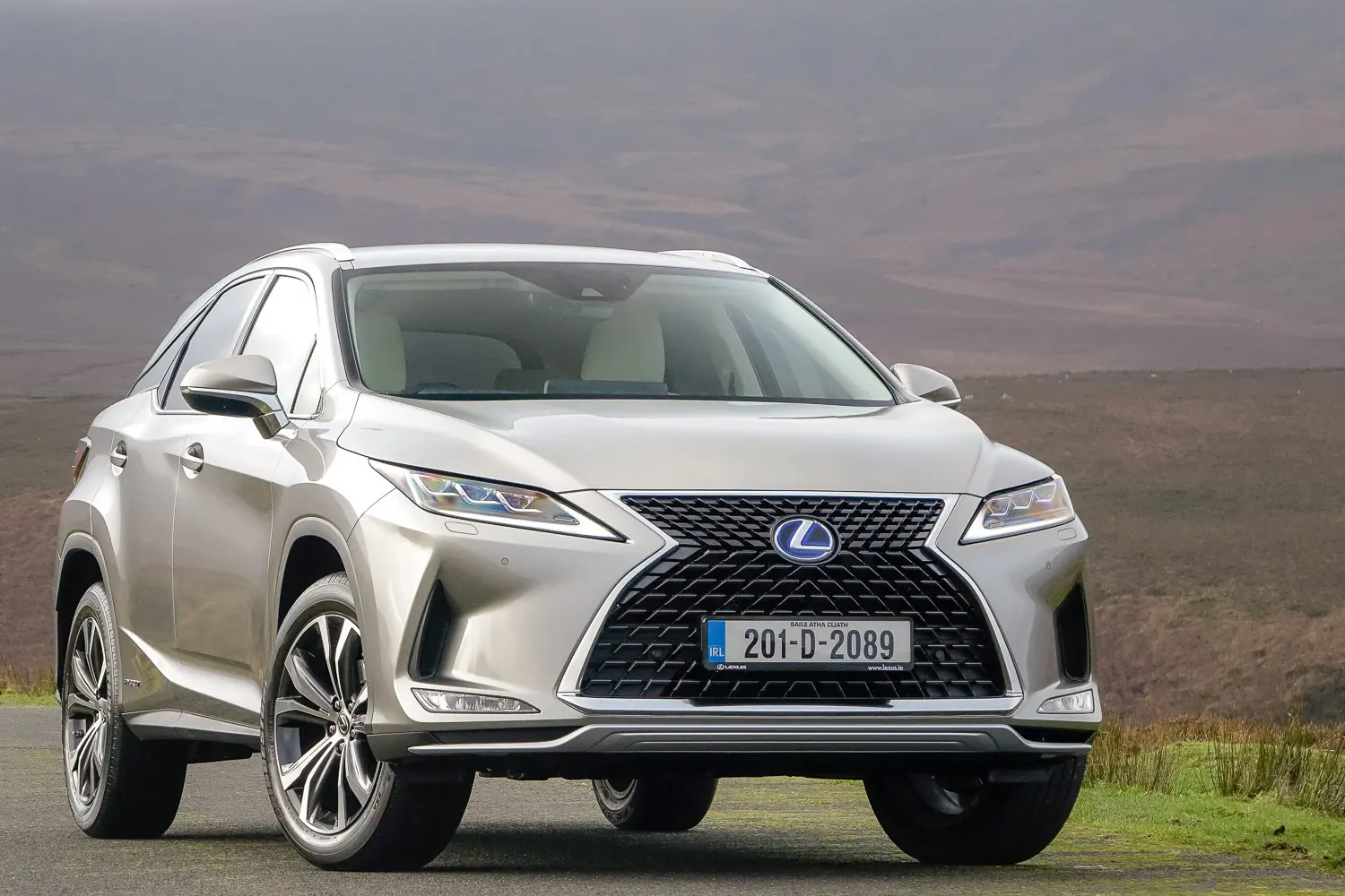 Lexus RX RX 450H Exclusive 2